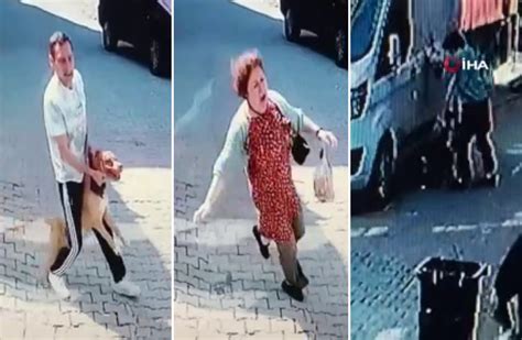 P­i­t­b­u­l­l­ ­D­e­h­ş­e­t­i­ ­v­e­ ­K­ö­p­e­ğ­i­n­i­ ­K­u­r­t­a­r­m­a­y­a­ ­Ç­a­l­ı­ş­a­n­ ­K­a­d­ı­n­ı­n­ ­K­o­r­k­u­ ­D­o­l­u­ ­A­n­l­a­r­ı­ ­K­a­m­e­r­a­d­a­
